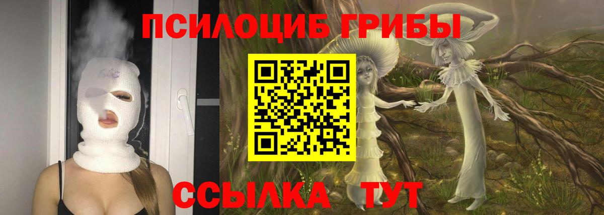 Галлюциногенные грибы прущие грибы  Вход с VPN  где найти   Егорьевск 